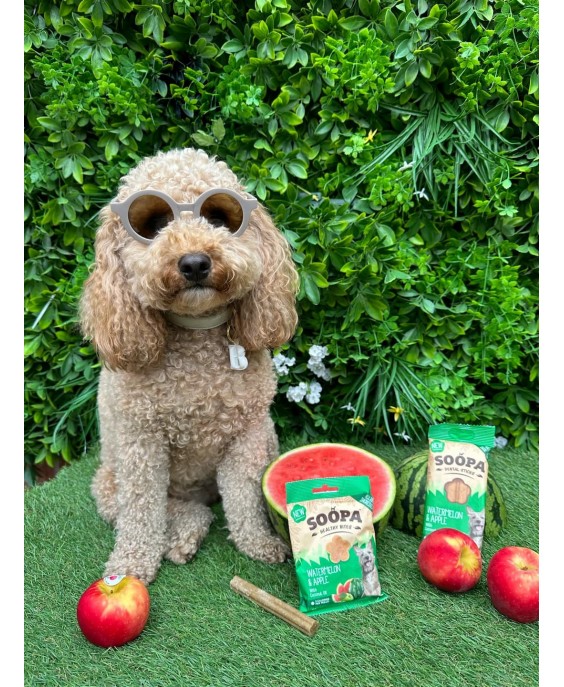 Dabiski arbūzu un ābolu našķi suņiem, soopa