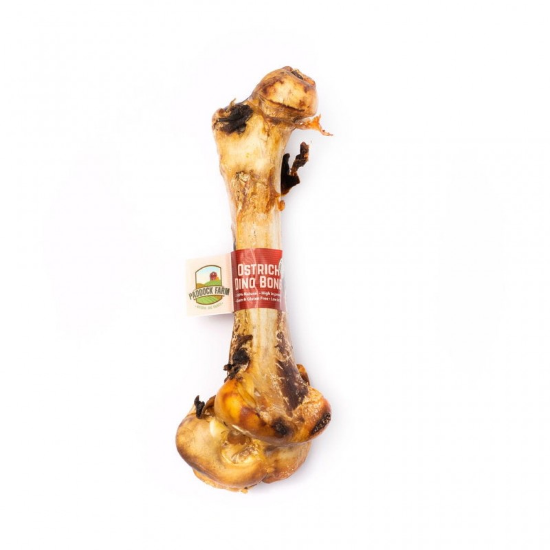 Strausa Dino Bone "Strausa Dino Bone" https://koslat.lv/ suņu našķi, košļājamās rotaļlietas suņiem Strausa Dino Bone "Strausa Dino Bone" https://koslat.lv/ suņu našķi, košļājamās rotaļlietas suņiem
