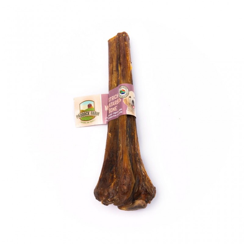 Strausa metatarss Bone Strausa metatarss Bone kārumi suņiem https://koslat.lv/ Strausa metatarss Bone Strausa metatarss Bone kārumi suņiem https://koslat.lv/