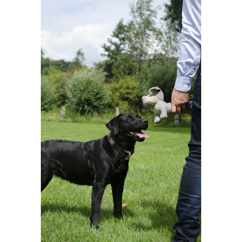 Videi draudzīga plīša suņu rotaļlieta Buddy, Country Dog Buddy