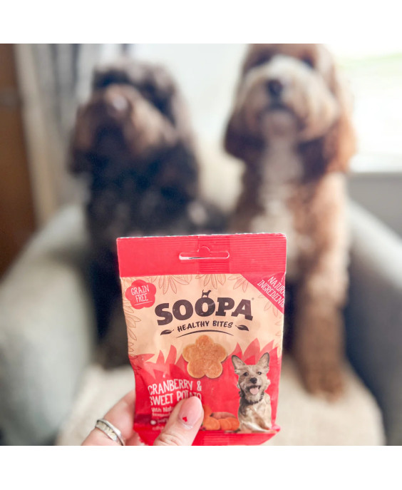 SOOPA dzērveņu un saldo kartupeļu kārumi suņiem 50g