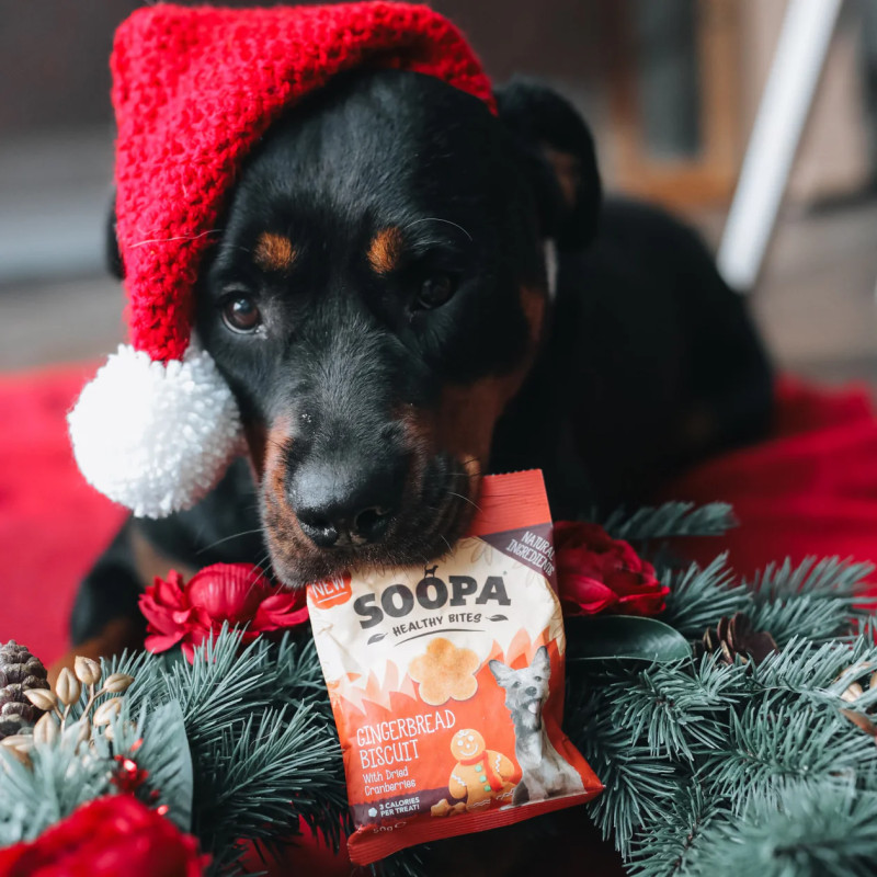 Piparkūku našķi suņiem, SOOPA