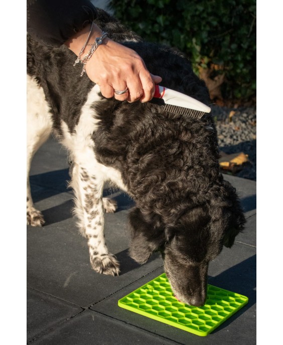 Fun & Relax Lick Mat suņiem, zaļš, Eat Slow Live Longer