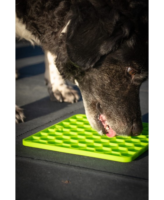 Fun & Relax Lick Mat suņiem, zaļš, Eat Slow Live Longer