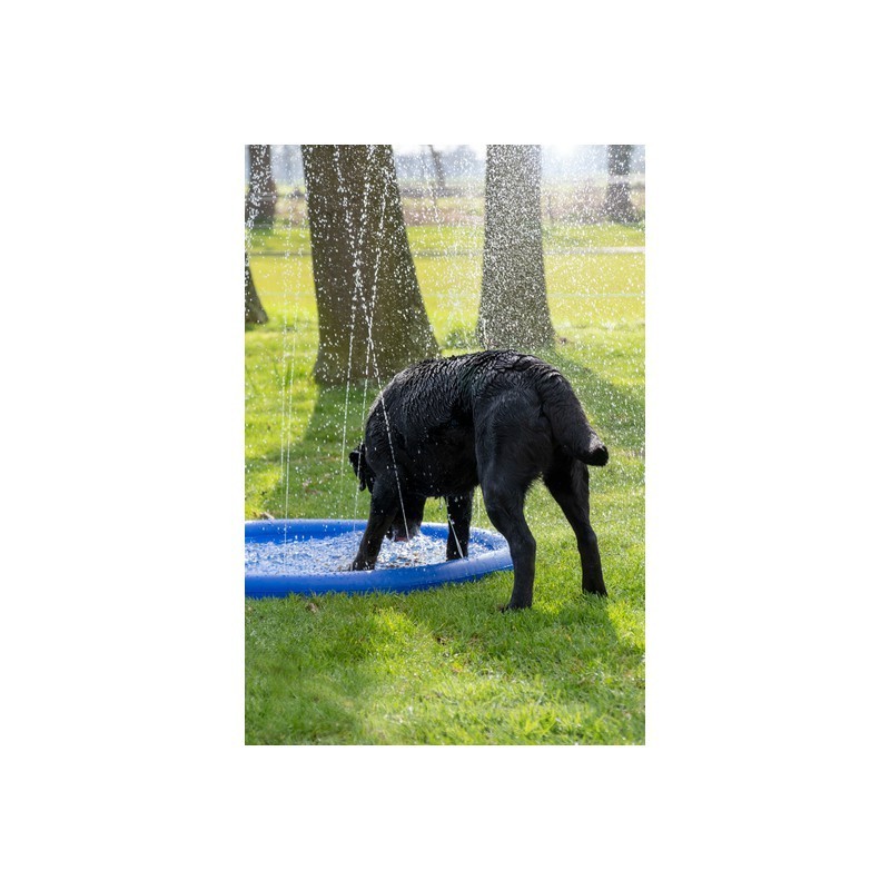 Splash Pool Ūdens smidzinātājs suņiem, CoolPets