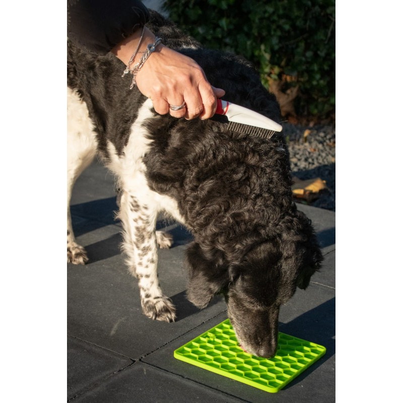 Fun & Relax Lick Mat suņiem, sarkans