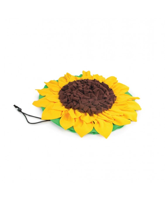 Saulespuķu čūskas paklājiņš suņiem AFP