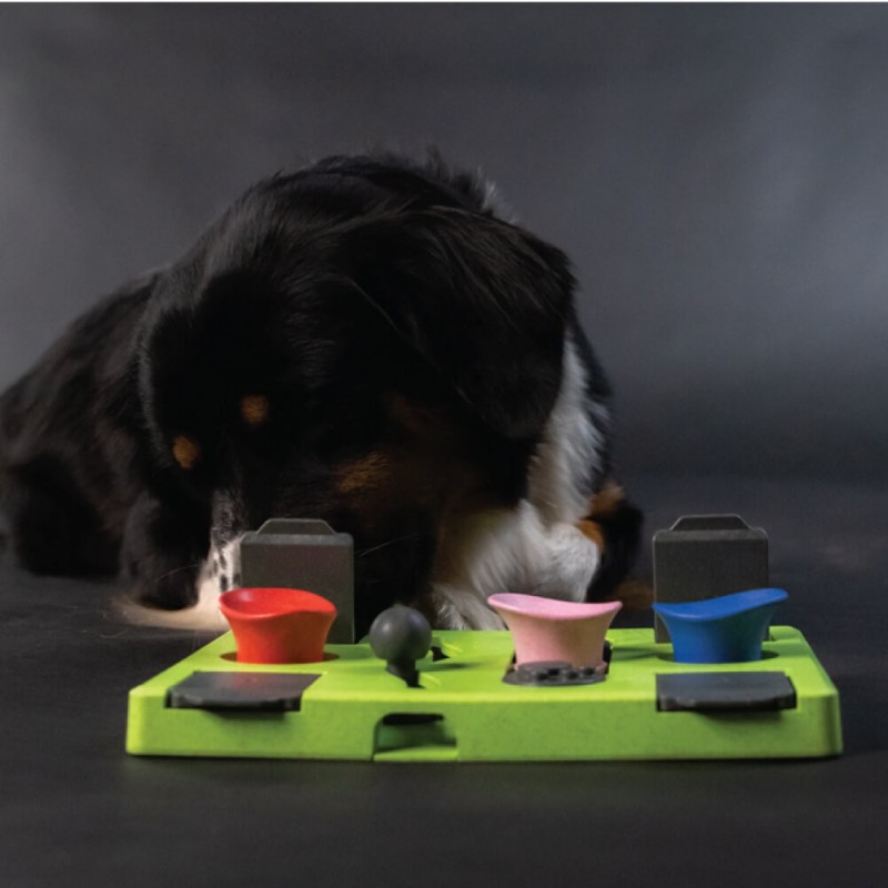 Dog Treats Puzzle taisnstūris, Eat Slow Live Longer