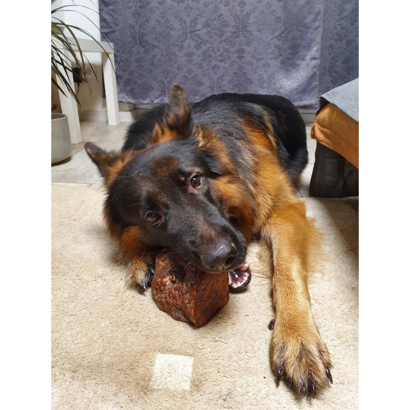 Sakņu košļājamā rotaļlieta suņiem Origins, XL izmērs (750 - 1000 g)