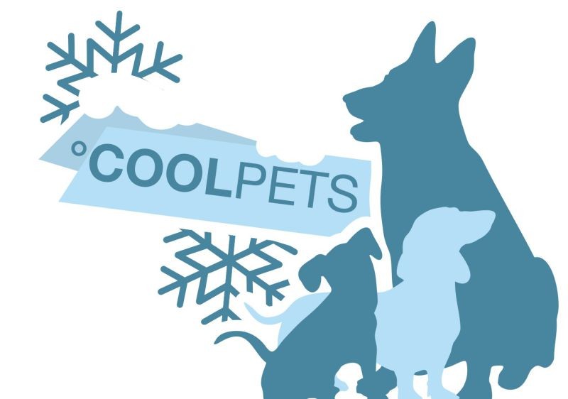 CoolPets